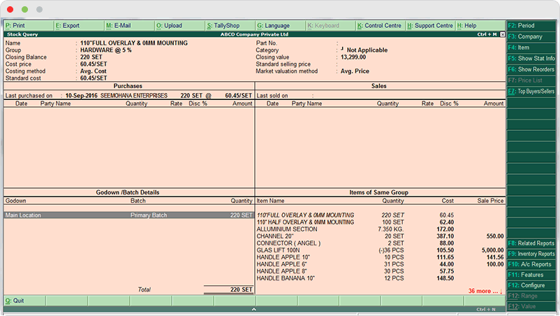 Inventory-Regsiters-And-Reports_Stock-Query