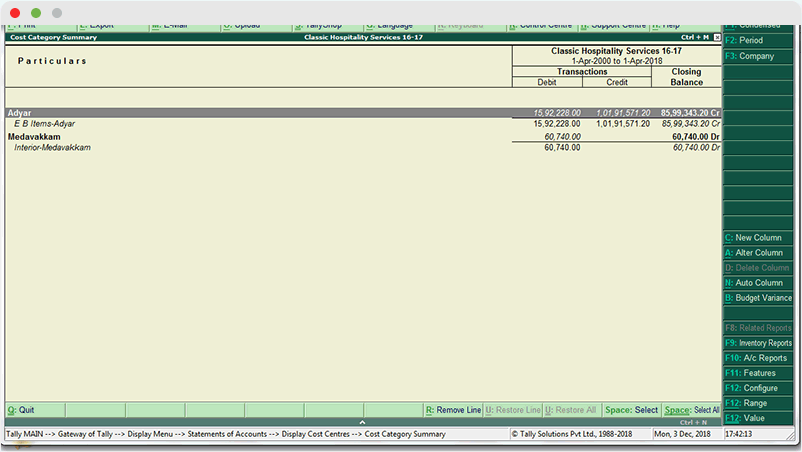 Tally_ERP_Accounts_Cost-Category-Summary-(Condensed)