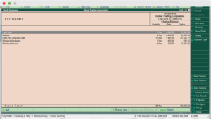Tally_ERP_Inventory_Stock_Category_summary