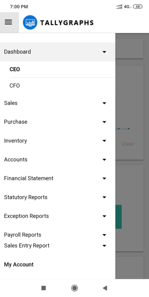 Tally ERP Reports Mobile